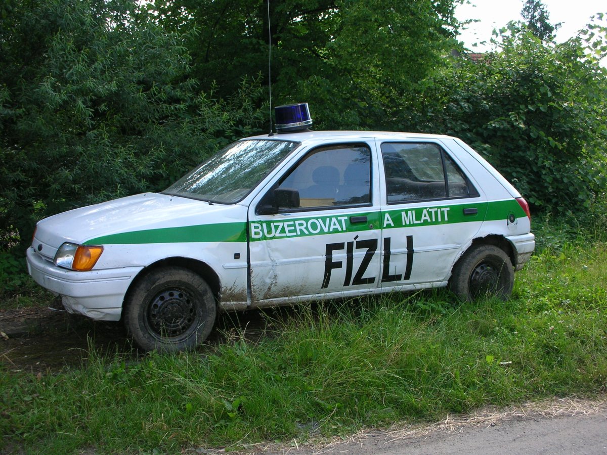 fizli.jpg1.280636.jpg